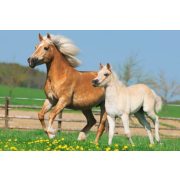 Horses, 2x26, 2x48 db (55588) - Puzzle - Kirakó