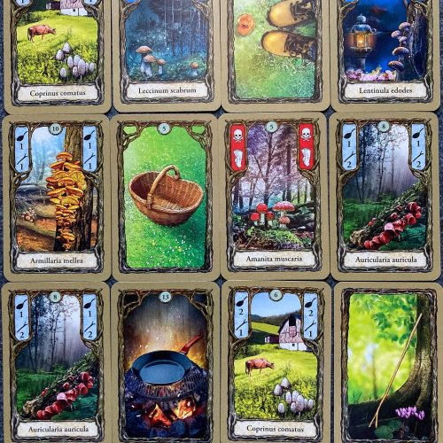 Gamer Café Fungi kártyajáték - magyar 