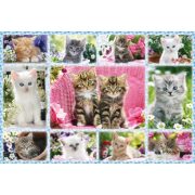 Kittens, 100 db (56135) - Puzzle - Kirakó