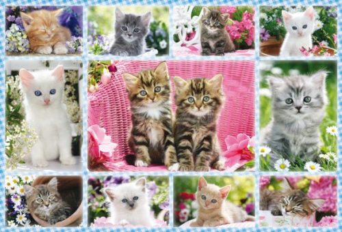 Schmidt Spiele Kittens, 100 db (56135) Gyerek Kirakó