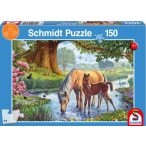 Horses by the stream, 150 db (56161)