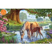 Horses by the stream, 150 db (56161)