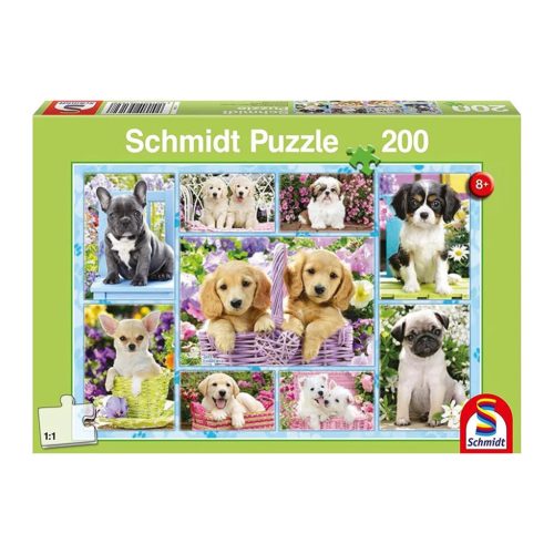 Puppies, 200 db (56162)