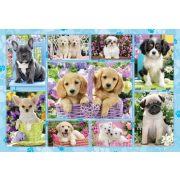 Puppies, 200 db (56162)