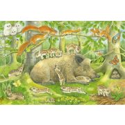 Animal family, 3x48 db (56222) - Puzzle - Kirakó