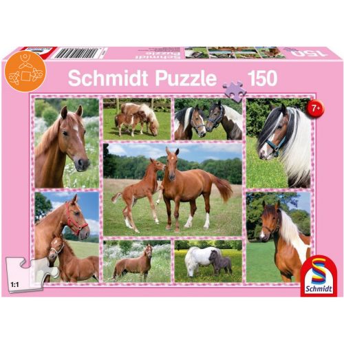 Pferdeträume, 150 db (56269) - Puzzle - Kirakó