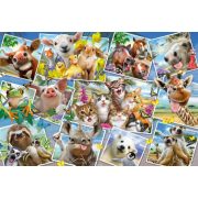 Animal Selfies, 200 db (56294)  - Puzzle - Kirakó