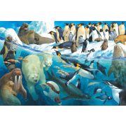 Animals of the polar regions, 100 db (56295) 