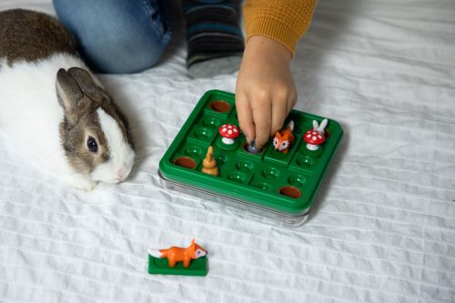 Smart Games NyúlUgró XXL (Magyar játékszabállyal)