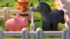  Smart Games Smart Farmer 