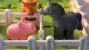  Smart Farmer  - Smart Games