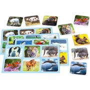 Zoo Lotto fémdobozban (51433)