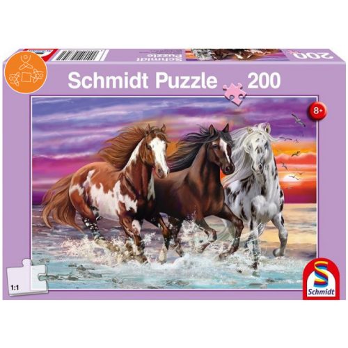 Trio of wild horses, 200 db (56356) 