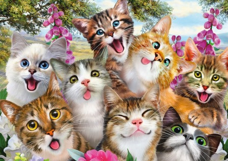Schmidt Spiele Cat Selfie, 500 db (58391) Kirakó