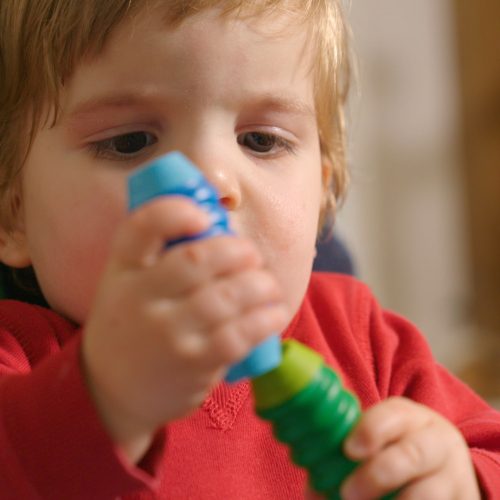 Smartmax - My First Sounds & Senses