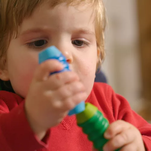 Smartmax - My First Sounds & Senses
