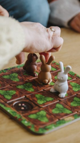 Smart Games Nyúlpiknik 