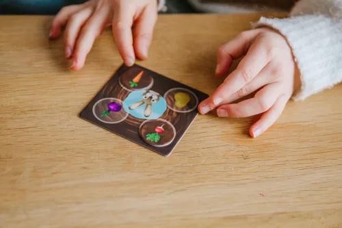  Nyúlpiknik  - Smart Games