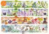 Seasons, 1000 db (58980)