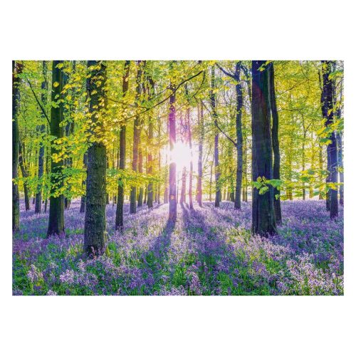 Schmidt Spiele Transquil bluebell woods 1000 db (59767) Kirakó 