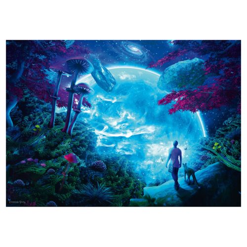 Schmidt Spiele Celestial Sky (58525) 1000 db  Kirakó 