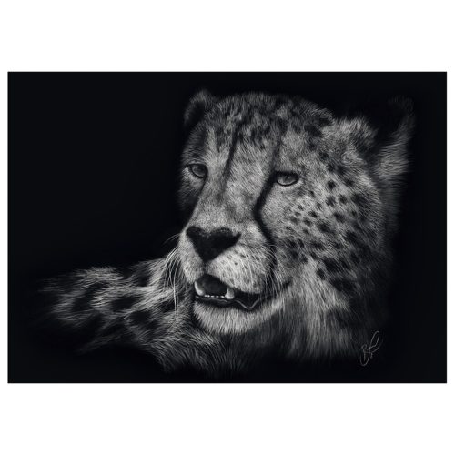 Schmidt Spiele Speed-Cheetah, the epitome of grace (58542) 1000 db  Kirakó 