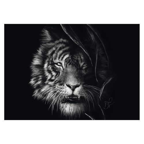 Schmidt Spiele Wilderness-Tiger, the epitome of freedom (58541) 1000 db Kirakó 