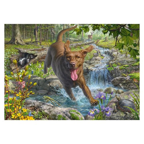Schmidt Spiele Hundeliebe, Frühlingsspaziergang mit Labrador Retriever  (58559) Kirakó MARK FREDRICKSON 1000 db 