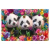  Panda Trio (56578) Gyerek kirakó 200 db - Schmidt Spiele