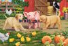 Schmidt Spiele Animals on the farm 3x48 db (56579) Gyerek kirakó 